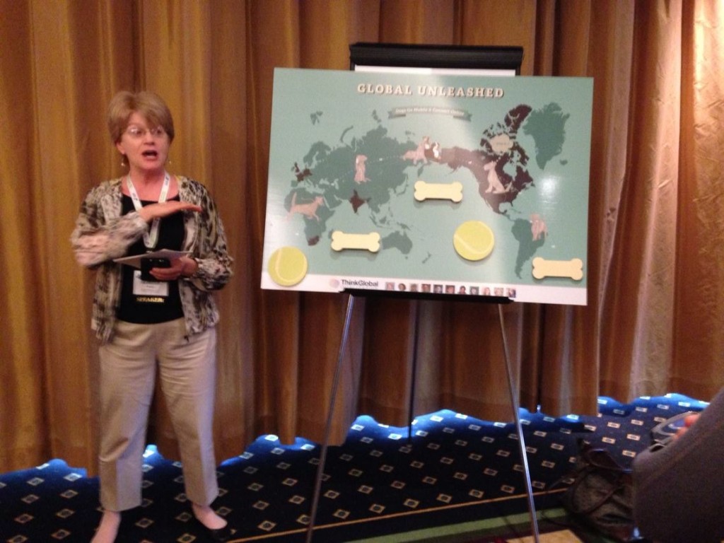 Rebecca Bryant presenting to the Worldwide Conference on Qualitative Research in Budapest, May 2014